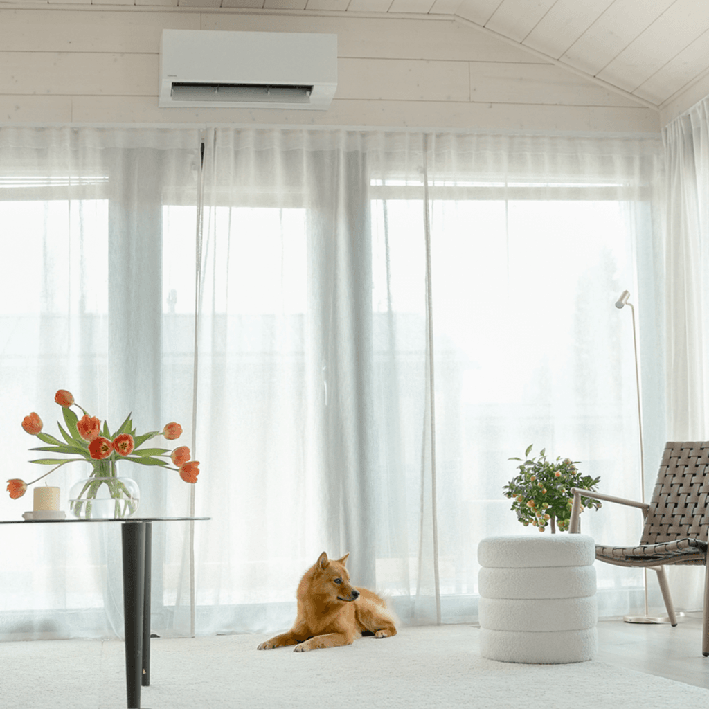 Toshiba Polar+ White 25